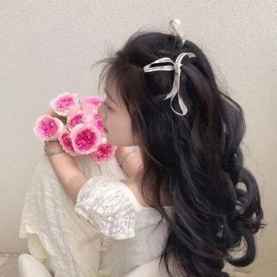 赤胆屠龙记