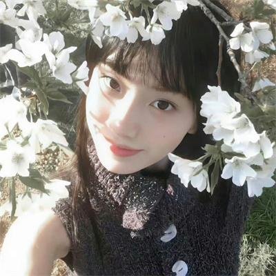 没有同情